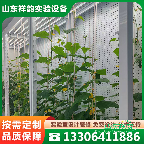 人工智能組培室